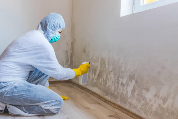 Crawl Space Mold Remediation treatment of floor joists in Roslindale
